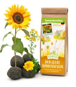 Samenbomben Der Gelbe Sonnenschein (6 Stück) | Blumensamenmischung Von FLORTUS -Elho Compo Geschaft 562164 Samenbomben Der Gelbe Sonnenschein 6 Stueck 2000 1055 1