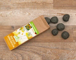 Samenbomben Der Gelbe Sonnenschein (6 Stück) | Blumensamenmischung Von FLORTUS -Elho Compo Geschaft 562164 Samenbomben Der Gelbe Sonnenschein 6 Stueck 2000 1055 3