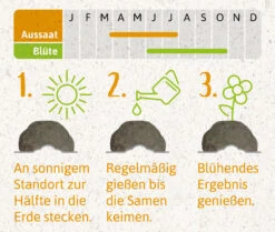 Samenbomben Der Gelbe Sonnenschein (6 Stück) | Blumensamenmischung Von FLORTUS -Elho Compo Geschaft 562164 Samenbomben Der Gelbe Sonnenschein 6 Stueck 2000 1055 4