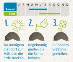 Samenbomben Urlaub Auf Balkonien (6 Stück) | Blumensamenmischung Von FLORTUS -Elho Compo Geschaft 562167 Samenbomben Urlaub auf Balkonien 6 Stueck 2000 1058 4