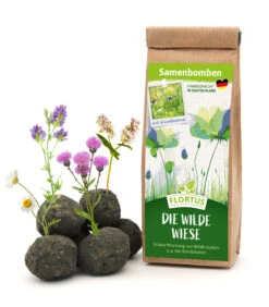 Samenbomben Die Wilde Wiese (6 Stück) | Wildblumenwiese Von FLORTUS -Elho Compo Geschaft 562168 Samenbomben Die wilde Wiese 6 Stueck 2000 1059 1