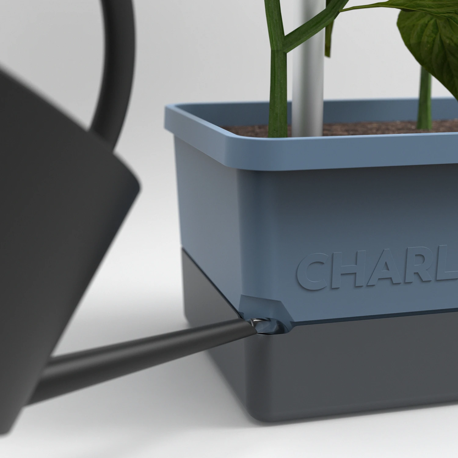 Charly Chili Chilitopf Inkl. Chilipflanze | Pflanzsets Von Gusta Garden X Chilivielfalt 6 Charly Chili Chilitopf Inkl. Chilipflanze | Pflanzsets Von Gusta Garden X Chilivielfalt – Bild 4