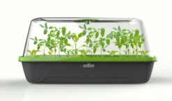 BoQube M &amp; FLORTUS Kokos Quelltöpfe (24 Stück) | Anzuchtzubehör Set Von FLORTUS -Elho Compo Geschaft 562697 BoQube M und FLORTUS Kokos Quelltoepfe 24 Stueck 2000 2385 anthrazit 2