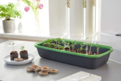 BoQube M &amp; FLORTUS Kokos Quelltöpfe (24 Stück) | Anzuchtzubehör Set Von FLORTUS -Elho Compo Geschaft 562697 BoQube M und FLORTUS Kokos Quelltoepfe 24 Stueck 2000 2385 anthrazit 3