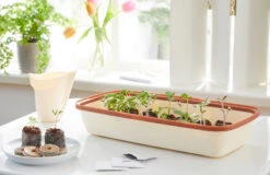 BoQube M &amp; FLORTUS Kokos Quelltöpfe (24 Stück) | Anzuchtzubehör Set Von FLORTUS -Elho Compo Geschaft 562697 BoQube M und FLORTUS Kokos Quelltoepfe 24 Stueck 2000 2385 kupfer 2