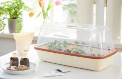 BoQube M &amp; FLORTUS Kokos Quelltöpfe (24 Stück) | Anzuchtzubehör Set Von FLORTUS -Elho Compo Geschaft 562697 BoQube M und FLORTUS Kokos Quelltoepfe 24 Stueck 2000 2385 kupfer 3