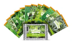 HARRY HERBS & FLORTUS Kräuter Set | Anzuchtsets Von FLORTUS 14 HARRY HERBS & FLORTUS Kräuter Set | Anzuchtsets Von FLORTUS -Elho Compo Geschaft 562699 HARRY HERBS und FLORTUS Kraeuter Set 2000 2387 blau 7