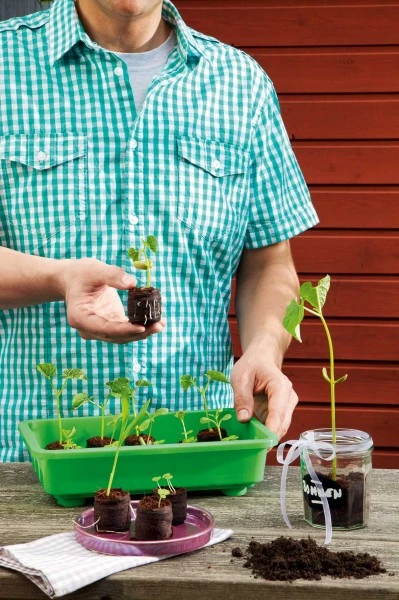 36 Mm Kokos-Quelltabletten Sparkarton 1.500 Stück (unbedruckt) | Kokos-Quelltabletten Von Romberg 3 36 Mm Kokos-Quelltabletten Sparkarton 1.500 Stück (unbedruckt) | Kokos-Quelltabletten Von Romberg