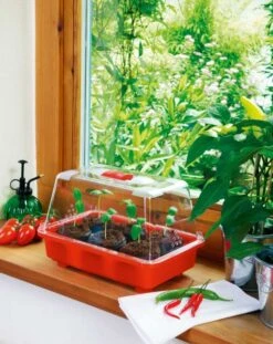 Zimmergewächshaus Veggie | Zimmergewächshaus Von Romberg 9 Zimmergewächshaus Veggie | Zimmergewächshaus Von Romberg -Elho Compo Geschaft 832 1