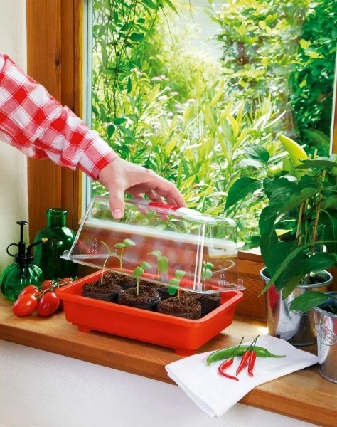 Zimmergewächshaus Veggie | Zimmergewächshaus Von Romberg 5 Zimmergewächshaus Veggie | Zimmergewächshaus Von Romberg – Bild 3