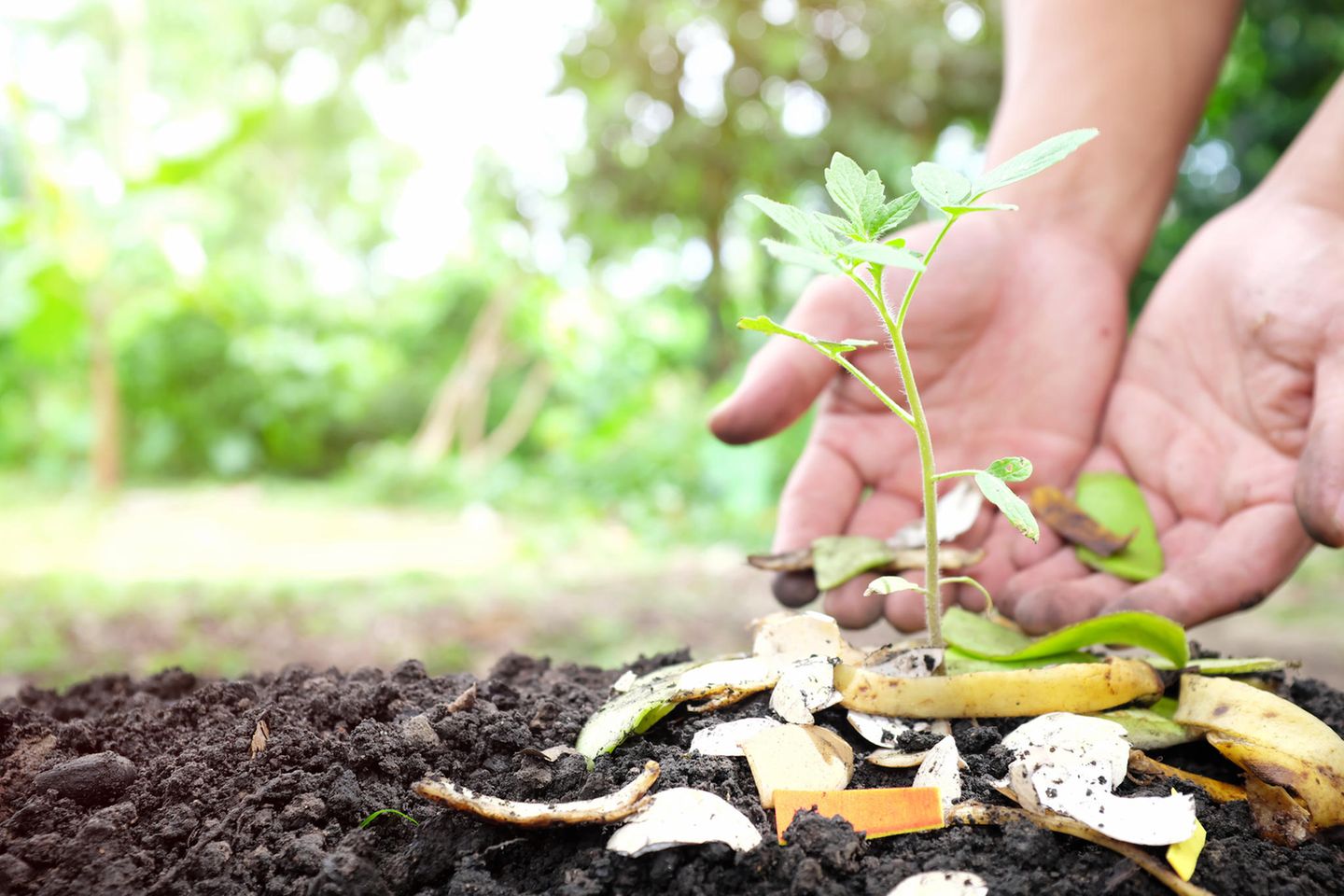 Elho Compo Geschaft -Elho Compo Geschaft bananenschalen duenger a412080449